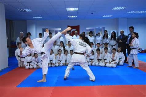 Karate ile ilgili bilgiler
